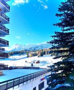 APPARTEMENT CHALETS DU SUPER D