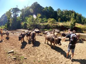 GJ TOUR and HOMESTAY