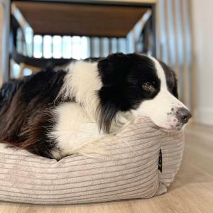 423 w PIECIOGWIAZDKOWYM HOTELU ROYAL TULIP SAND PLAŻA 200 m DOBRUK APARTAMENTY