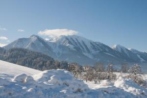 Ferienhaus Obermoser