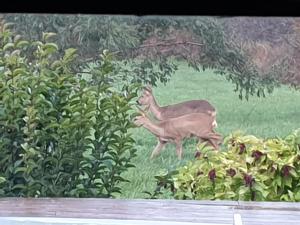 B&B / Chambres d'hotes au grain de folie : photos des chambres