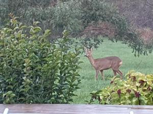 B&B / Chambres d'hotes au grain de folie : photos des chambres