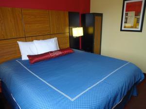 Hotel Bliss - Brooklyn