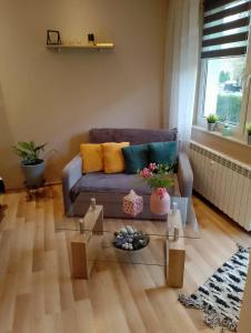 Apartament Zibi