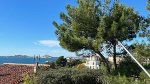 B&B / Chambres d'hotes La LUNA of MARSEILLE - VILLA D'ARCHITECTE B&B : photos des chambres
