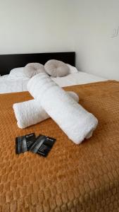 Appartement de charme Toulouse nord