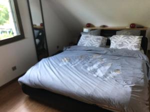 Villas Maison de charme avec gite equestre : photos des chambres