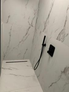 Beautiful Sunny Penthouse (near Place Albert)