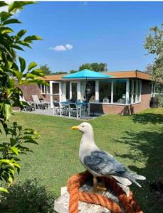 Vakantiebungalow in Riviera Maison stijl nabij zee en strand, bos en duin