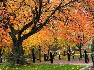 Friendly and cozy home with separate entrance No Pets Allowed - Coquitlam