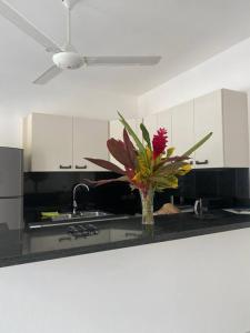 Bel appartement neuf en loma