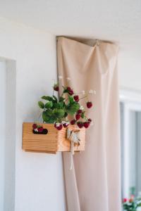 M Inn - Seaview with sunny terrace