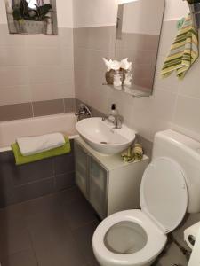 Cosy Home! Perfect for visiting Cluj