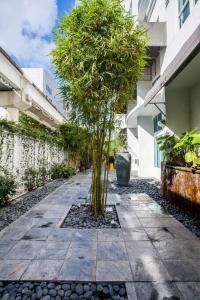 Beautiful Loft in Downtown Miami For 4 people 2208