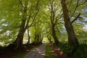 Maisons de vacances Gite des Fougeres : photos des chambres