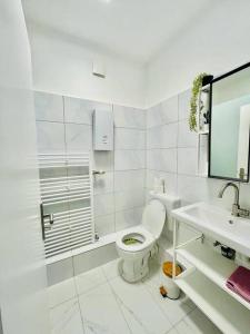 City Wohnung Zentral 85-5