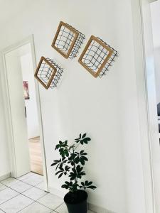 City Wohnung Zentral 85-5