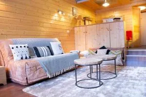 Cosy/familiale/Front de neige - Molliers