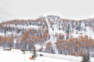 CosyfamilialeFront de neige