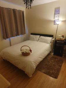 Double size and Single room in Barking