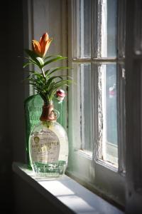 Cozy Home NearMilwaukee Attractions