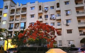 للسيدات Master bedroom for ladies only Sheik Zayed