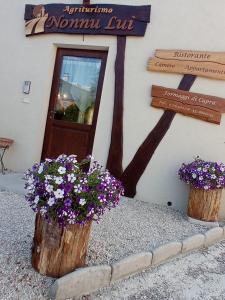 Agriturismo NONNU LUI`