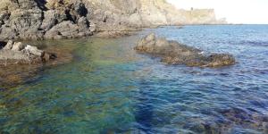 Appartements LOCATION DE VACANCES : photos des chambres