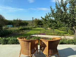 Rábai Katalin Borászat és Vendégház