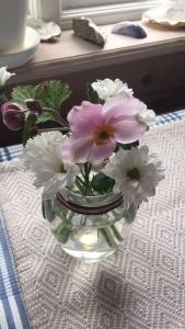 Mitt i vackraste Bohuslän