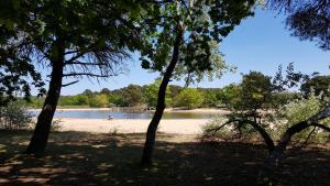 Villas Villa Le P'tit Bassin a Ares, sur le Bassin d'Arcachon cote Cap-Ferret : photos des chambres