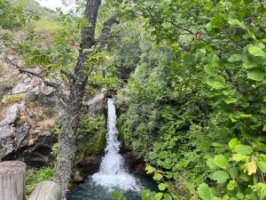 Alojamiento esqui montaña Cofiñal