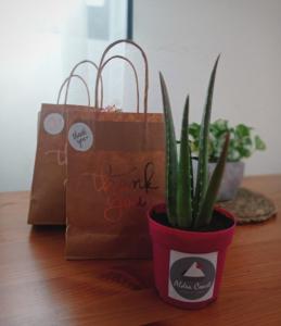 Casa en la playa, Aldea Coast