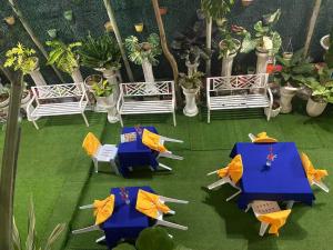 The VeeHive Guesthouse