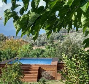 Maisons de vacances U MANDARINU : photos des chambres