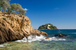 Villas VILLA 4* avec PISCINE dans le bas du village de BORMES les MIMOSAS : photos des chambres