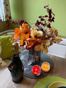 Apartman TULANIE 58 Kamzik Donovaly 2 IZBOVY Mezonet Deluxe parkovanie v podzemnej garáži ZDARMA