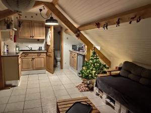 Appartements Appartement douillet avec vue sur les montagnes : photos des chambres