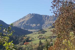 Lodges Cabane entre terre et ciel : photos des chambres