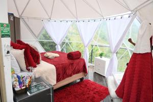 GLAMPING LA CRISTALINA