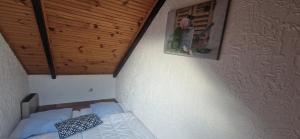 Maisons de vacances Maison complete Ganzes Haus House 6 Peronnes La Finiere Seealpen Isola Village bei Nizza Alpes -Maritimes pres de Nice 70 km : photos des chambres