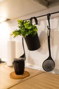 Ultra central apartment