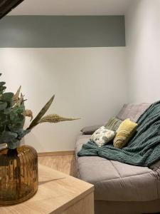 Appartements Moderne et calme en hyper centre : photos des chambres