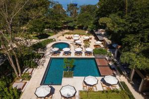 El Mangroove Papagayo, Autograph Collection