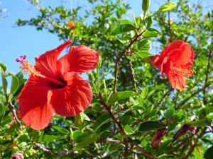B&B Baia Turchese img44