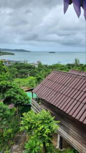 Sweet Jungle Bungalows