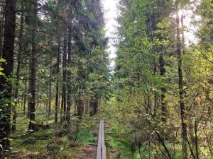 4 star holiday home in SKÖVDE-By Traum