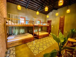 Paksong Farmstay Gia Lai - Venuestay