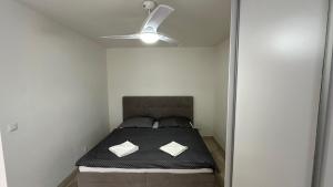 2 room Apartment with balcony