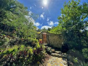 Jungle KingDomes Guest House